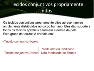 Tecidos conjuntivos propriamente ditos Os tecidos conjuntivos propriamente ditos apresentam-se amplamente distribuídos no corpo humano. Eles dão suporte a todos os tecidos epiteliais e formam a derme da pele. Este grupo de tecidos é dividido em: Tecido conjuntivo frouxo Modelado ou tendinoso  -Tecido conjuntivo Denso  Não-modelado ou fibroso 