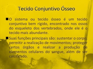 O sistema ou tecido ósseo é um tecido conjuntivo bem rígido, encontrado nos ossos do esqueleto dos vertebrados, onde ele é o tecido mais abundante. Suas funções principais são: sustentar o corpo; permitir a realização de movimentos; proteger certos órgãos e realizar a produção de elementos celulares do sangue, além de ser calcificado. 