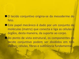 O tecido conjuntivo origina-se da mesoderme do feto. Este papel mecânico é dado por um conjunto de moléculas (matriz) que conecta e liga as células e órgãos, desta maneira, da suporte ao corpo. Do ponto de vista estrutural, os componentes do tecido conjuntivo podem ser divididos em três classes: células, fibras e substância fundamental. 
