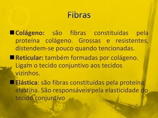 Colágeno:  são fibras constituídas pela proteína colágeno. Grossas e resistentes, distendem-se pouco quando tencionadas. Reticular:  também formadas por colágeno. Ligam o tecido conjuntivo aos tecidos vizinhos. Elástica : são fibras constituídas pela proteína elastina. São responsáveis pela elasticidade do tecido conjuntivo 