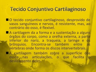 O tecido conjuntivo cartilaginoso, desprovido de vasos sanguíneos e nervos, é resistente, mas, ao contrário do osso, é flexível. A cartilagem da a forma e a sustentação a alguns órgãos do corpo, como a orelha externa, a parte inferior do nariz, a traqueia, a laringe e os brônquios. Encontra-se também entre as vértebras onde forma os discos intervertebrais. A cartilagem também cobre a superfície dos ossos nas articulações, o que facilita o deslizamento deles. 