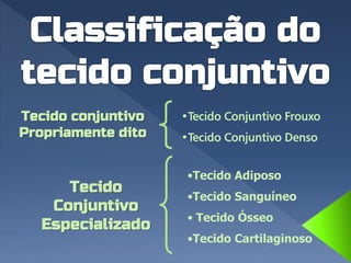 Tecido conjuntivo
Propriamente dito
•Tecido Conjuntivo Frouxo
•Tecido Conjuntivo Denso
Tecido
Conjuntivo
Especializado
•Tecido Adiposo
•Tecido Sanguíneo
• Tecido Ósseo
•Tecido Cartilaginoso
 