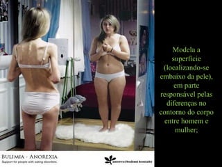 Modela a
superfície
(localizando-se
embaixo da pele),
em parte
responsável pelas
diferenças no
contorno do corpo
entre homem e
mulher;
 