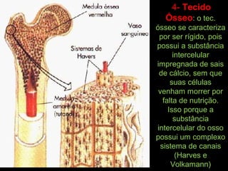 4- Tecido
Ósseo: o tec.
ósseo se caracteriza
por ser rígido, pois
possui a substância
intercelular
impregnada de sais
de cálcio, sem que
suas células
venham morrer por
falta de nutrição.
Isso porque a
substância
intercelular do osso
possui um complexo
sistema de canais
(Harves e
Volkamann)
 