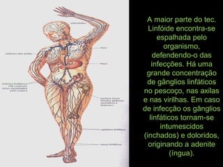 A maior parte do tec.
Linfóide encontra-se
espalhada pelo
organismo,
defendendo-o das
infecções. Há uma
grande concentração
de gânglios linfáticos
no pescoço, nas axilas
e nas virilhas. Em caso
de infecção os gânglios
linfáticos tornam-se
intumescidos
(inchados) e doloridos,
originando a adenite
(íngua).
 