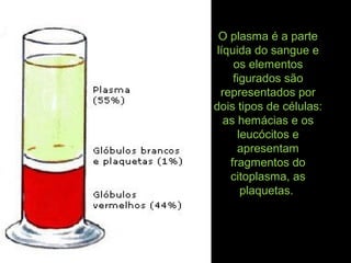 O plasma é a parte
líquida do sangue e
os elementos
figurados são
representados por
dois tipos de células:
as hemácias e os
leucócitos e
apresentam
fragmentos do
citoplasma, as
plaquetas.
 