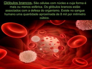 Glóbulos brancos- São células com núcleo e cuja forma é
mais ou menos esférica. Os glóbulos brancos estão
associados com a defesa do organismo. Existe no sangue
humano uma quantidade aproximada de 8 mil por milímetro
cúbico.
 