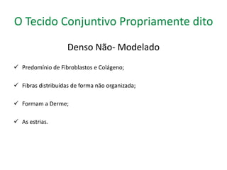 O Tecido Conjuntivo Propriamente dito 
Denso Não- Modelado 
 Predomínio de Fibroblastos e Colágeno; 
 Fibras distribuídas de forma não organizada; 
 Formam a Derme; 
 As estrias. 
 