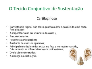 O Tecido Conjuntivo de Sustentação 
Cartilaginoso 
• Consistência Rígida, não tanto quanto o ósseo,possuindo uma certa 
flexibilidade; 
• A importância no crescimento dos ossos; 
• Amortecimento; 
• Reveste as articulações; 
• Ausência de vasos sanguíneos; 
• Principal constituinte dos ossos no feto e no recém-nascido, 
futuramente se diferenciando em tecido ósseo; 
• Onde são encontrados; 
• A doença na cartilagem. 
 