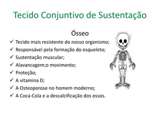 Tecido Conjuntivo de Sustentação 
Ósseo 
 Tecido mais resistente do nosso organismo; 
 Responsável pela formação do esqueleto; 
 Sustentação muscular; 
 Alavancagem;o movimento; 
 Proteção; 
 A vitamina D; 
 A Osteoporose no homem moderno; 
 A Coca-Cola e a descalcificação dos ossos. 
 