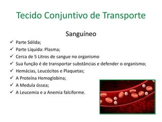 Tecido Conjuntivo de Transporte 
Sanguíneo 
 Parte Sólida; 
 Parte Líquida: Plasma; 
 Cerca de 5 Litros de sangue no organismo 
 Sua função é de transportar substâncias e defender o organismo; 
 Hemácias, Leucócitos e Plaquetas; 
 A Proteína Hemoglobina; 
 A Medula óssea; 
 A Leucemia e a Anemia falciforme. 
 