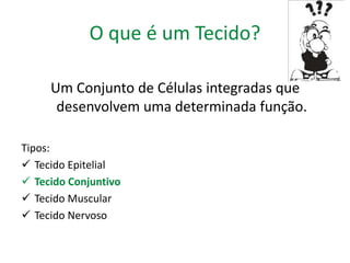 O que é um Tecido? 
Um Conjunto de Células integradas que 
desenvolvem uma determinada função. 
Tipos: 
 Tecido Epitelial 
 Tecido Conjuntivo 
 Tecido Muscular 
 Tecido Nervoso 
 