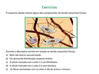Exercícios 
O esquema abaixo mostra alguns dos componentes do tecido conjuntivo frouxo: 
Assinale a alternativa correta em relação ao tecido conjuntivo frouxo. 
a) Nele não ocorre vascularização. 
b) Ele apresenta distribuição corporal restrita 
c) A célula marcada com a seta 1 é um fibroblasto. 
d) A célula marcada com a seta 2 é uma hemácia. 
e) As fibras assinaladas com as setas 3 são de actina e miosina. 
 