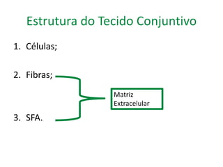 Estrutura do Tecido Conjuntivo 
1. Células; 
2. Fibras; 
3. SFA. 
Matriz 
Extracelular 
 