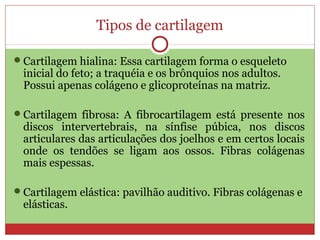 Tipos de cartilagem
Cartilagem hialina: Essa cartilagem forma o esqueleto
inicial do feto; a traquéia e os brônquios nos adultos.
Possui apenas colágeno e glicoproteínas na matriz.
Cartilagem fibrosa: A fibrocartilagem está presente nos
discos intervertebrais, na sínfise púbica, nos discos
articulares das articulações dos joelhos e em certos locais
onde os tendões se ligam aos ossos. Fibras colágenas
mais espessas.
Cartilagem elástica: pavilhão auditivo. Fibras colágenas e
elásticas.
 