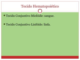 Tecido Hematopoiético
Tecido Conjuntivo Mielóide: sangue.
Tecido Conjuntivo Linfóide: linfa.
 
