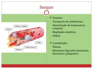 Sangue
 Funções:
- Transporte de substâncias;
- Manutenção da temperatura
corporal;
- Regulação osmótica;
- Defesa
 Constituição:
- Plasma
- Elementos figurados (hemácias,
leucócitos e plaquetas)
 