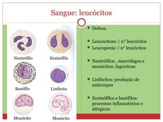 Sangue: leucócitos
 Defesa.
 Leucocitose:  n° leucócitos
 Leucopenia:  n° leucócitos
 Neutrófilos , macrófagos e
monócitos: fagocitose
 Linfócitos: produção de
anticorpos
 Eosinófilos e basófilos:
processos inflamatórios e
alérgicos.
Neutrófilo Eosinófilo
Basófilo Linfócito
Monócito Monócito
 