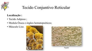 Tecido Conjuntivo Reticular
Localização :
• Tecido Adiposo ;
• Medula Óssea e órgãos hematopoéticos;
• Músculo Liso.
Fígado
 
