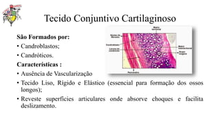 Tecido Conjuntivo Cartilaginoso
São Formados por:
• Candroblastos;
• Candróticos.
Características :
• Ausência de Vascularização
• Tecido Liso, Rígido e Elástico (essencial para formação dos ossos
longos);
• Reveste superfícies articulares onde absorve choques e facilita
deslizamento.
 