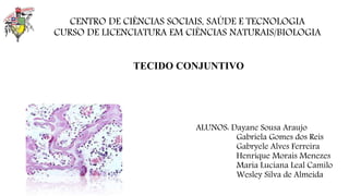 ALUNOS: Dayane Sousa Araujo
Gabriela Gomes dos Reis
Gabryele Alves Ferreira
Henrique Morais Menezes
Maria Luciana Leal Camilo
Wesley Silva de Almeida
CENTRO DE CIÊNCIAS SOCIAIS, SAÚDE E TECNOLOGIA
CURSO DE LICENCIATURA EM CIÊNCIAS NATURAIS/BIOLOGIA
TECIDO CONJUNTIVO
 