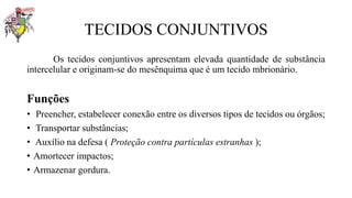 TECIDOS CONJUNTIVOS
Os tecidos conjuntivos apresentam elevada quantidade de substância
intercelular e originam-se do mesênquima que é um tecido mbrionário.
Funções
• Preencher, estabelecer conexão entre os diversos tipos de tecidos ou órgãos;
• Transportar substâncias;
• Auxílio na defesa ( Proteção contra partículas estranhas );
• Amortecer impactos;
• Armazenar gordura.
 