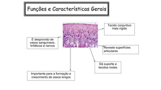 Funções e Características Gerais
Tecido conjuntivo
mais rígido
Reveste superfícies
articulares
Dá suporte a
tecidos moles
Importante para a formação e
crescimento de ossos longos
É desprovido de
vasos sanguíneos,
linfáticos e nervos
 