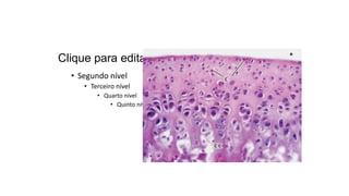 Clique para editar o texto mestre
• Segundo nível
• Terceiro nível
• Quarto nível
• Quinto nível
 