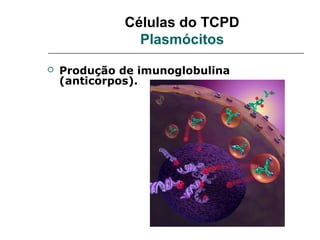 Células do TCPD
               Plasmócitos
   Produção de imunoglobulina
    (anticorpos).
 