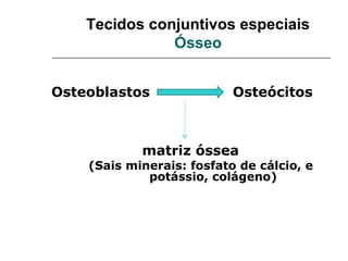 Tecidos conjuntivos especiais
               Ósseo


Osteoblastos               Osteócitos



            matriz óssea
    (Sais minerais: fosfato de cálcio, e
             potássio, colágeno)
 