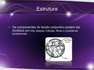 • Os componentes do tecido conjuntivo podem ser
divididos em três classes: Células, fibras e substância
fundamental.
 