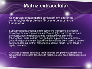 • As matrizes extracelulares consistem em diferentes
combinações de proteínas fibrosas e de substância
fundamental.
- Substância fundamental é um complexo viscoso e altamente
hidrofílico de macromoléculas aniônicas (glicosaminoglicanos e
proteoglicanos) e glicoproteínas multiadesivas (laminina,
fribonectina, entre outras) que se ligam a proteínas receptoras
(integrinas) presente na superfície das células bem como a outros
componentes da matriz, fornecendo, desse modo, força tênsil e
rigidez à matriz.
• As células do tecido conjuntivo ficam imersas em grande quantidade de
substâncias intercelular denominada matriz, ou seja, ficam localizados entre
células.
 