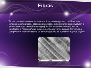 • Fibras predominantemente diversos tipos de colágenos, constituem os
tendões, aponeuroses, cápsulas de órgãos, e membranas que envolvem o
sistema nervoso central (meninges). As fibras também constituem as
trabéculas e "paredes" que existem dentro de vários órgãos, formando o
componente mais resistente do estroma(tecido de sustentação) dos órgãos.
 