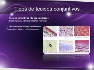 • Tecidos conjuntivos não especializados:
- Frouxo (laxo), Adiposo e Denso (fibroso).
• Tecido conjuntivo especializado:
- Sanguíneo, Ósseo e Cartilaginoso.
 