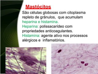 Mastócitos
São células globosas com citoplasma
repleto de grânulos, que acumulam
heparina e histamina.
Heparina: polissacarídeo com
propriedades anticoagulantes.
Histamina: agente ativo nos processos
alérgicos e inflamatórios.
 