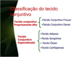 Classificação do tecido
conjuntivo
Tecido conjuntivo
Propriamente dito
•Tecido Conjuntivo Frouxo
•Tecido Conjuntivo Denso
•Tecido Adiposo
•Tecido Sangüíneo
• Tecido Ósseo
•Tecido Cartilaginoso
Tecido
Conjuntivo
Especializado
 