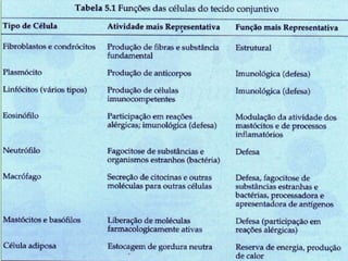 Células do tecido
conjuntivo
Células residentes ou
regularmente presentes
no Tecido conjuntivo
Frouxo
Células transitórias que
migram do sangue
•Fibroblastos
•Macrófagos do tecido
conjuntivo(histiócitos)
•Mastócitos
•plasmócitos
•Neutrófilos
•Eosinófilos
•Monócitos
•linfócitos
•Adipócitos
•Células mesenquimais indiferenciadas
Além disso pode
conter
 