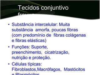 Tecidos conjuntivo
frouxo
• Substância intercelular: Muita
substância amorfa, poucas fibras
(com predomínio de fibras colágenas
e fibras elásticas)
• Funções: Suporte,
preenchimento, cicatrização,
nutrição e proteção.
• Células típicas:
Fibroblastos,Macrófagos, Mastócitos
 