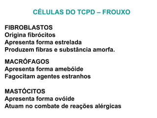 CÉLULAS DO TCPD – FROUXO FIBROBLASTOS Origina fibrócitos Apresenta forma estrelada Produzem fibras e substância amorfa. MACRÓFAGOS Apresenta forma amebóide Fagocitam agentes estranhos MASTÓCITOS Apresenta forma ovóide Atuam no combate de reações alérgicas 