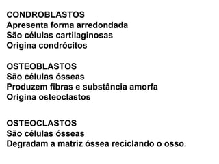 CONDROBLASTOS Apresenta forma arredondada São células cartilaginosas Origina condrócitos OSTEOBLASTOS São células ósseas  Produzem fibras e substância amorfa Origina osteoclastos OSTEOCLASTOS São células ósseas  Degradam a matriz óssea reciclando o osso. 