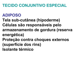 TECIDO CONJUNTIVO ESPECIAL ADIPOSO Tela sub-cutânea (hipoderme) Células são responsáveis pelo armazenamento de gordura (reserva energética) Proteção contra choques externos (superfície dos rins) Isolante térmico 