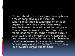  Nos vertebrados, a associação entre o epitélio e
  o tecido conjuntivo que lhe serve de
  suporte, revestindo as superfícies internas do
  organismo, constitue a pele. Quando essa
  associação revesteas cavidadesinternas que se
  comunicam com o meio externo temos as
  membranas mucosas, como a mucosa bucal, a
  gástrica, a nasal, a intestinal etc. A associação
  que reveste as cavidades internas são chamadas
  membranas serosas (que reveste o pulmão). o
  pericárdio (que reveste o coração) e o peritônio
  (que reveste os órgão abdominais).
 