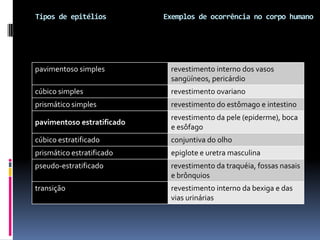 Tipos de epitélios          Exemplos de ocorrência no corpo humano




pavimentoso simples          revestimento interno dos vasos
                             sangüíneos, pericárdio
cúbico simples               revestimento ovariano
prismático simples           revestimento do estômago e intestino
                             revestimento da pele (epiderme), boca
pavimentoso estratificado
                             e esôfago
cúbico estratificado         conjuntiva do olho
prismático estratificado     epiglote e uretra masculina
pseudo-estratificado         revestimento da traquéia, fossas nasais
                             e brônquios
transição                    revestimento interno da bexiga e das
                             vias urinárias
 