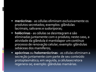  merócrinas - as células eliminam exclusivamente os
  produtos secretados; exemplos: glândulas
  lacrimais, salivares e sudoríporas;
 holócrinas - as células se desintegram e são
  eliminadas juntamente com o produto; neste caso, a
  atividade da glândula é mantidapor um contínuo
  processo de renovação celular; exemplo: glândulas
  sebáceas dos mamíferos;
 apócrinas ou holomerócrinas - as células eliminam a
  secreção juntamente com parte de seu conteúdo
  protoplasmático; em seguida, a célulasecretora
  regenera-se; exemplo: glândulas mamárias.
 