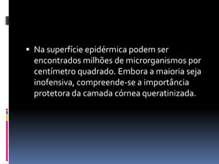  Na superfície epidérmica podem ser
  encontrados milhões de microrganismos por
  centímetro quadrado. Embora a maioria seja
  inofensiva, compreende-se a importância
  protetora da camada córnea queratinizada.
 