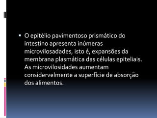  O epitélio pavimentoso prismático do
  intestino apresenta inúmeras
  microvilosadades, isto é, expansões da
  membrana plasmática das células epiteliais.
  As microvilosidades aumentam
  considervelmente a superfície de absorção
  dos alimentos.
 