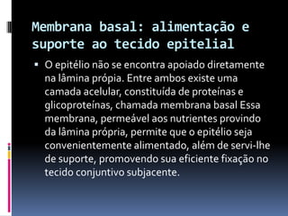 Membrana basal: alimentação e
suporte ao tecido epitelial
 O epitélio não se encontra apoiado diretamente
  na lâmina própia. Entre ambos existe uma
  camada acelular, constituída de proteínas e
  glicoproteínas, chamada membrana basal Essa
  membrana, permeável aos nutrientes provindo
  da lâmina própria, permite que o epitélio seja
  convenientemente alimentado, além de servi-lhe
  de suporte, promovendo sua eficiente fixação no
  tecido conjuntivo subjacente.
 