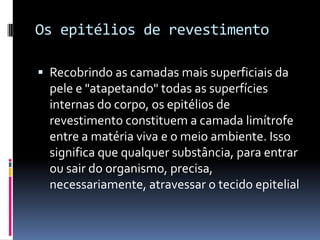Os epitélios de revestimento

 Recobrindo as camadas mais superficiais da
  pele e "atapetando" todas as superfícies
  internas do corpo, os epitélios de
  revestimento constituem a camada limítrofe
  entre a matéria viva e o meio ambiente. Isso
  significa que qualquer substância, para entrar
  ou sair do organismo, precisa,
  necessariamente, atravessar o tecido epitelial
 