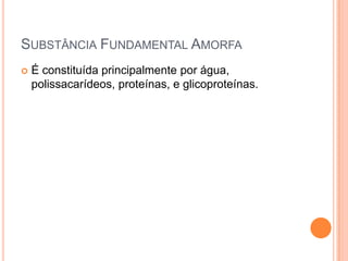 SUBSTÂNCIA FUNDAMENTAL AMORFA
   É constituída principalmente por água,
    polissacarídeos, proteínas, e glicoproteínas.
 