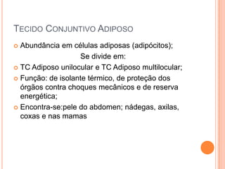 TECIDO CONJUNTIVO ADIPOSO
 Abundância em células adiposas (adipócitos);
                   Se divide em:
 TC Adiposo unilocular e TC Adiposo multilocular;

 Função: de isolante térmico, de proteção dos
  órgãos contra choques mecânicos e de reserva
  energética;
 Encontra-se:pele do abdomen; nádegas, axilas,
  coxas e nas mamas
 